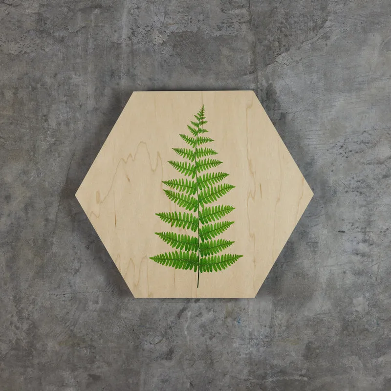 Ferns- Geometric