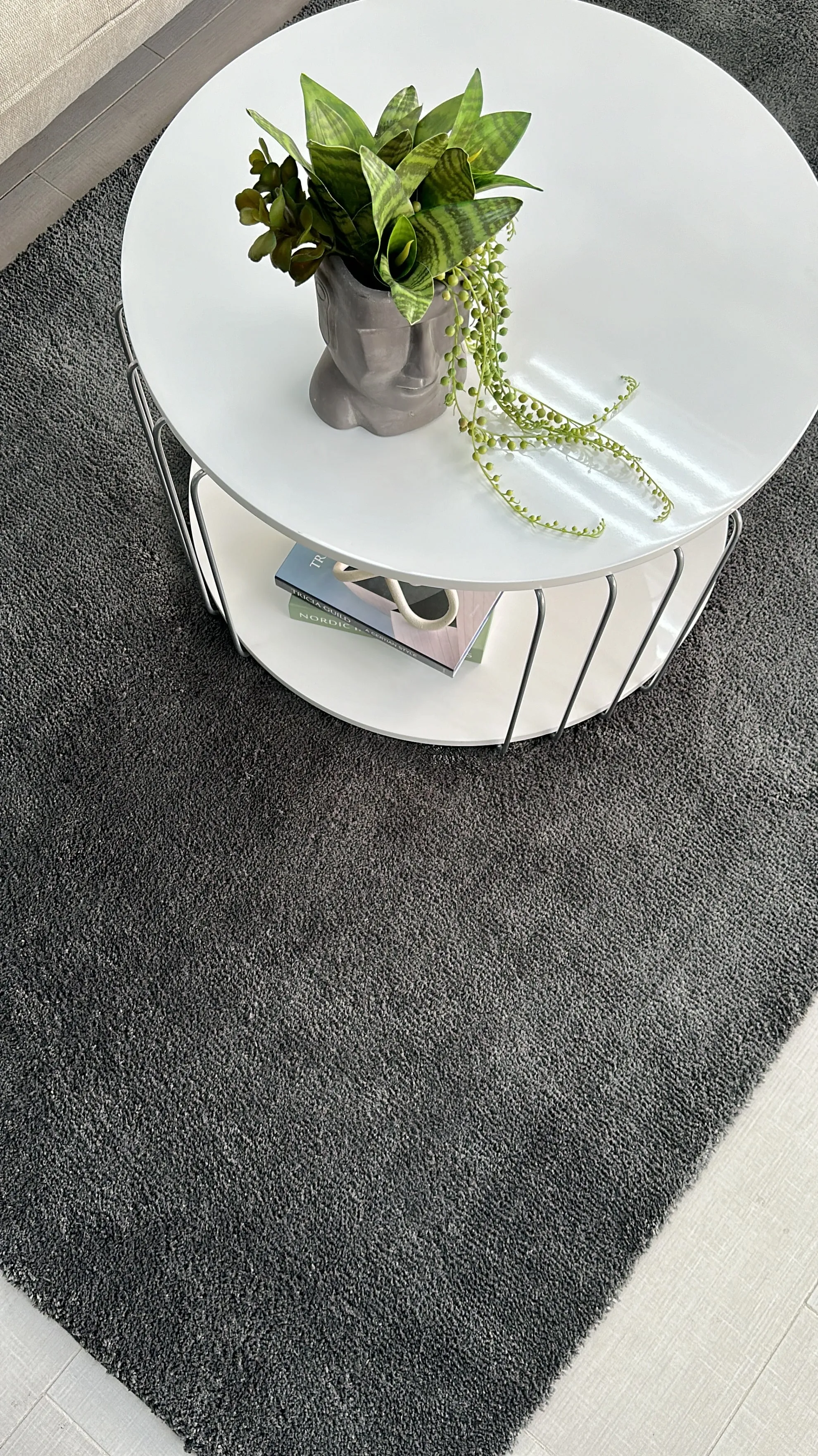Super Soft Shaggy Gray Rug 5' x 8'